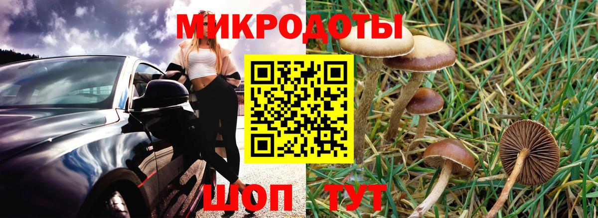 Алапаевск  Псилоцибиновые грибы Cubensis  Вход с VPN  Галлюциногенные грибы Magic Shrooms 