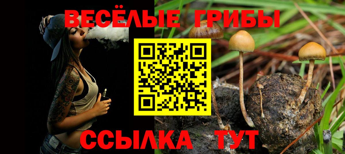 Галлюциногенные грибы GOLDEN TEACHER Алапаевск